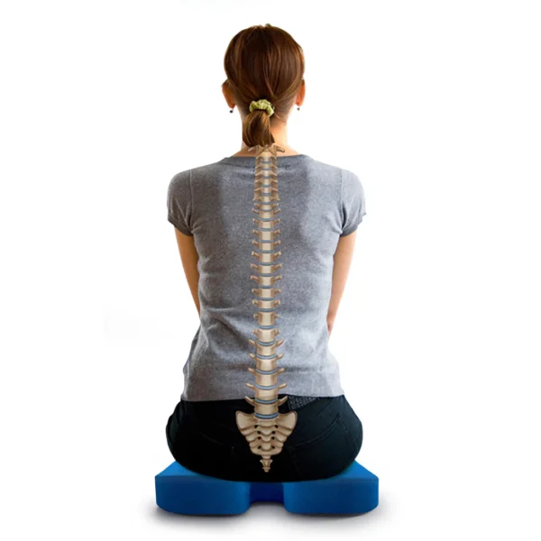 Coccyx & Tailbone Cushion - Image 5